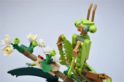 Lego Ideas 21342 The Insect Collection Review