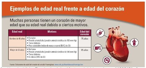 Aio Observe La Figura Considerando El Titulo Ejemplos De