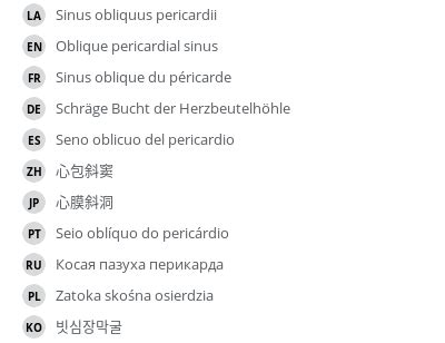 Oblique pericardial sinus - vet-Anatomy - IMAIOS