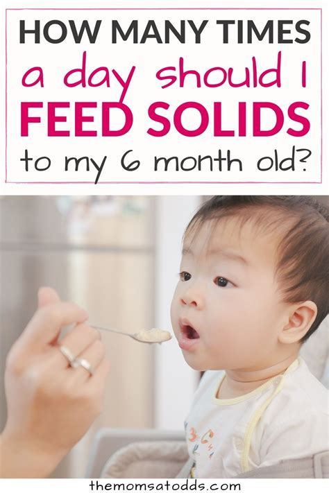 How Many Times A Day Should I Feed Solids To My Month Old