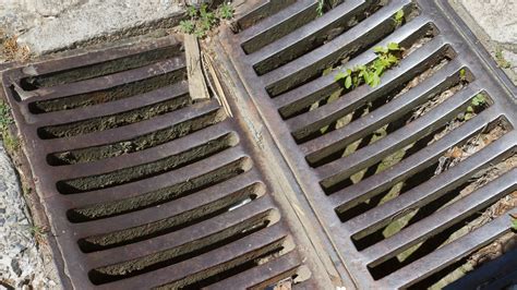 How To Properly Maintain Storm Drains In Miami Learn More