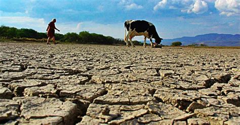 La guerra del agua las graves secuelas de la crisis hídrica en Chile