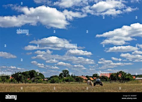 Summer Pasture And Clouds Stock Photo Alamy