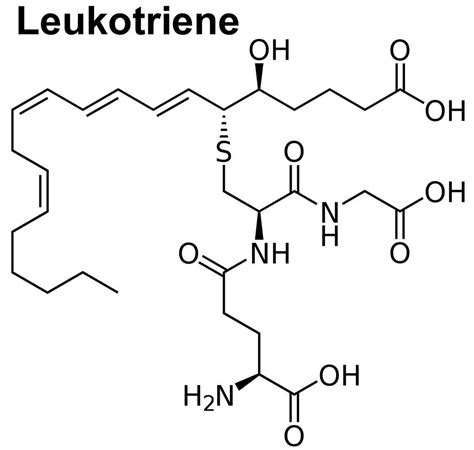 Leukotriene function, leukotriene antagonist and leukotriene modifiers uses