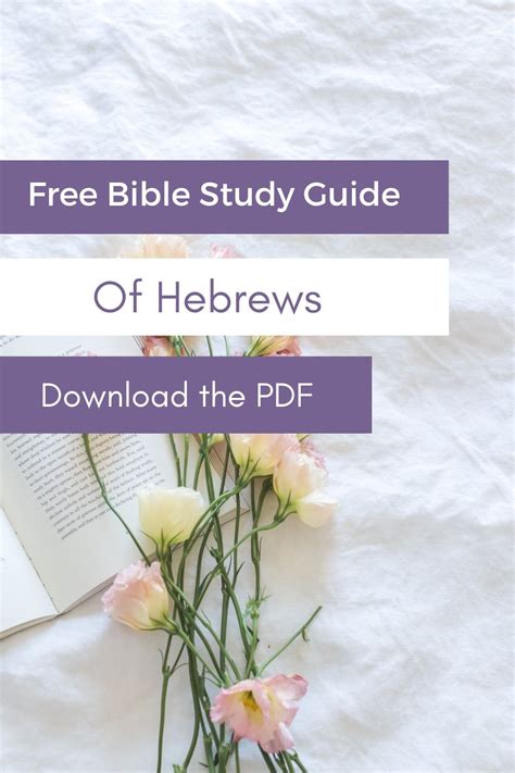 Hebrews Bible Study Guide Christ Is Better Artofit