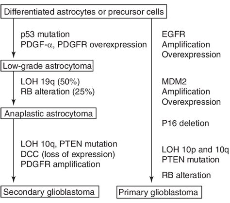 Molecular Genetic Variations Of Primary Versus Secondary Gbms Listed Download Scientific