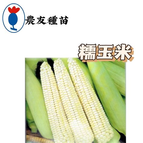 糯玉米 Corn 【農友種苗】 糯玉米種子 玉米種子 蔬菜原包裝種子 每包約25粒 有藥劑處理 保證新鮮種子 蝦皮購物