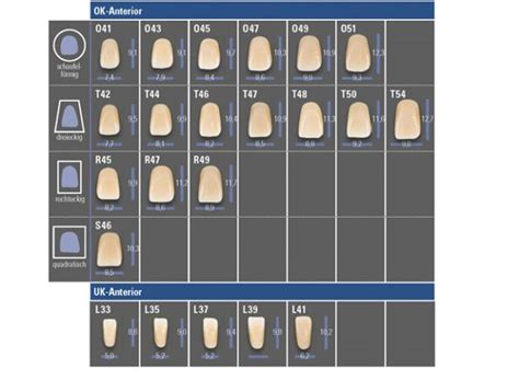 VITAPAN EXCELL Premium Anterior Denture Teeth