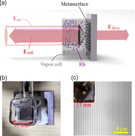 Figure 1 From Tailoring SubDoppler Spectra Of Thermal Atoms With A