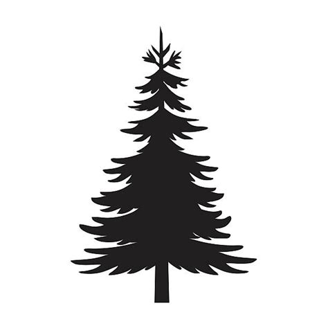 Royalty Free Pine Tree Clip Art, Vector Images & Illustrations - iStock