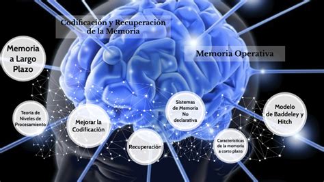 Codificación y Recuperación de la Memoria by Mari Elizabeth Garcia on Prezi