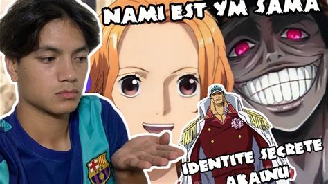 LA PLUS GRANDE THEORIE ONE PIECE NAMI YM IDENTITÉ SECRÈTE D