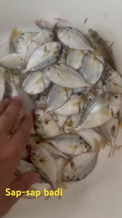 paksiw  sabaw youtube