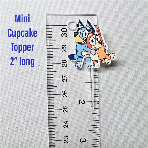 Bluey Heeler Birthday Mini Cupcake Toppers Bluey And Bingo Mini Cupcake Toppers 12 Characters