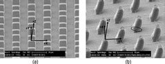 Scanning electron microscope (SEM) images of a) vertical PDMS flaps, b ... 