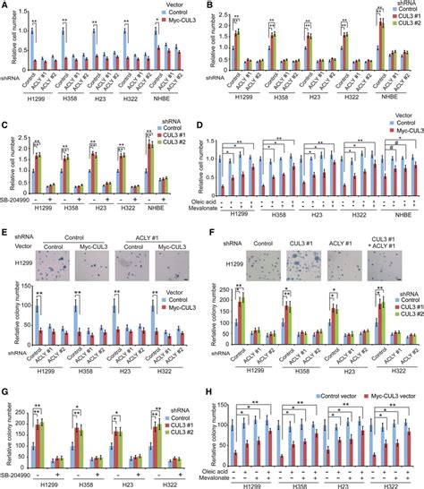 Cul Inhibits Cell Proliferation And Anchorage Independent Cell Growth