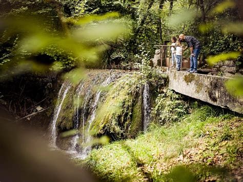 Parco Della Valle Della Motta Coldrerio Cosa Fare In Ticino