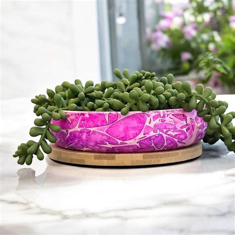 Pink Ceramic Planter Etsy