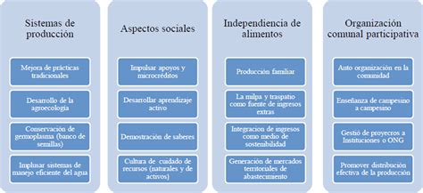 Gesti N Por Procesos En La Seguridad Alimentaria Del Estado De Tabasco