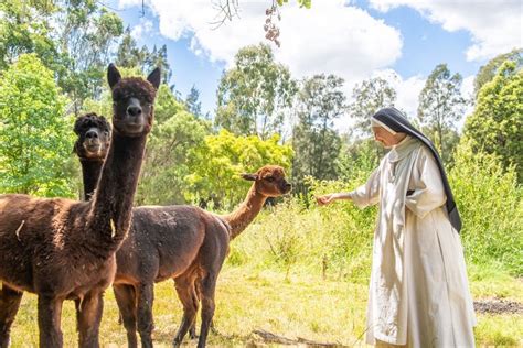 The Tyburn Nuns Of Riverstone A Beautiful Life Given To God