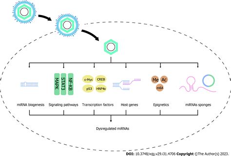 Dysregulated Micrornas As A Biomarker For Diagnosis And Prognosis Of