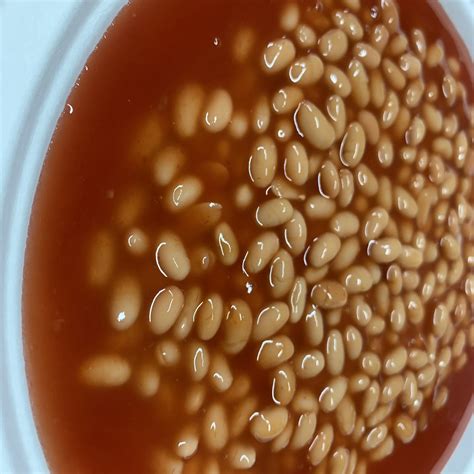 Chinese Factory Fresh Vegetable Tomato Ketchup Fast Food Canned Baked