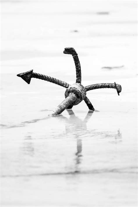 anchor     pexels stock