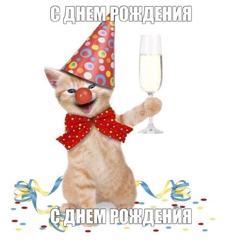 Создать мем "прикольные открытки с днем рождения, кот в праздничном ...