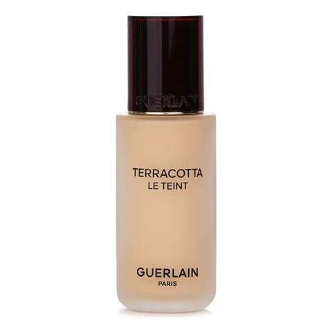Guerlain Terracotta Le Teint Healthy Glow Natural Perfection Foundation
