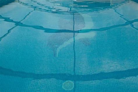 Menino De Um Ano Cai Na Piscina Enquanto Fam Lia Preparava Jantar E