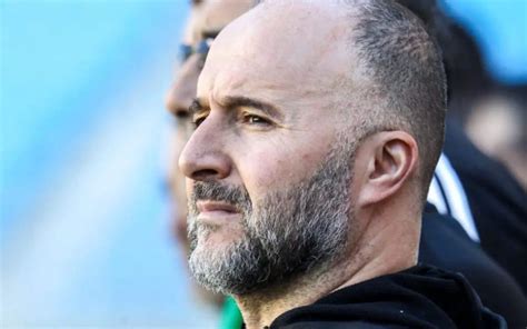 Djamel Belmadi dit ce qu il pense du Maroc à la CAN