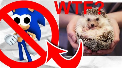 GAY MER THEORY SONIC ISN T A HEDGEHOG 1 YouTube