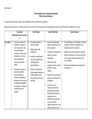 Cj Module Four Assignment Template Docx Cintia Correia Cj