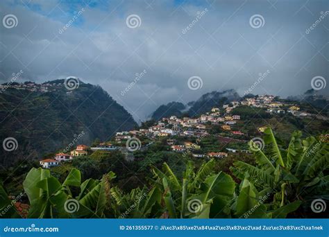 Funchal Na Madeira E Olhava Para As Montanhas E Bananeiras Imagem De