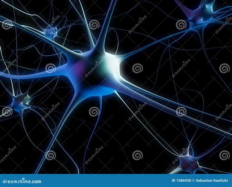 neuron cell stock illustration illustration  human