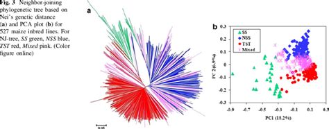 Neighbor Joining Phylogenetic Tree Based On Neis Genetic Distance A