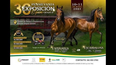 30º EXPOSICIÒN EQUINA GRADO B PENSILVANIA CALDAS DIA 2 Total