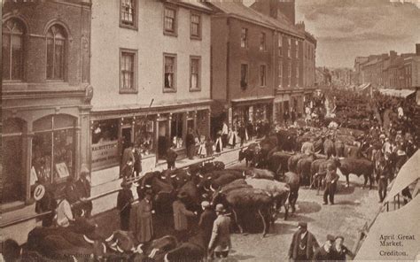 Crediton Cattle Market