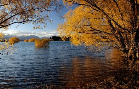 Autumn At Lake Tekapo NZ. Picture Image: 97837997