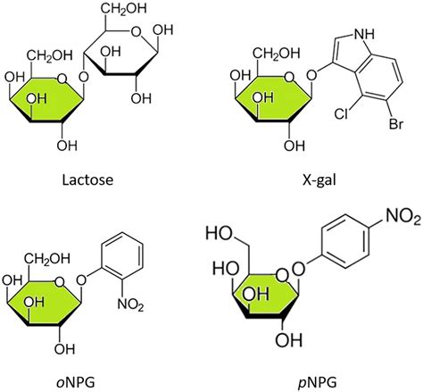 Molecular structures of β galactosidase substrates that contain