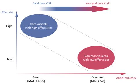 Genes Free Full Text Genetic Inheritance Models Of Non Syndromic