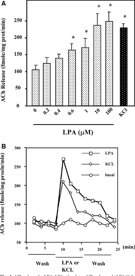Figure 1 From Botulinum Toxin Type A Targets Rhob To Inhibit