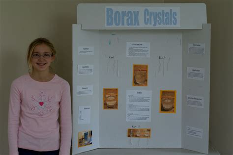 Making Crystals With Borax Science Experiment