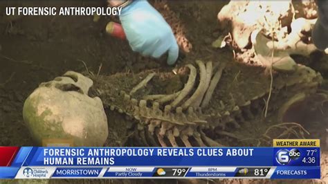 Forensic Anthropology Process Reveals Clues About Human Remains Youtube