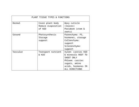 (DOCX) Plant tissue types - DOKUMEN.TIPS