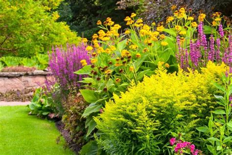 Thriving Plants & Hardiness Zones: Tips from Landscapers - Belo Garden