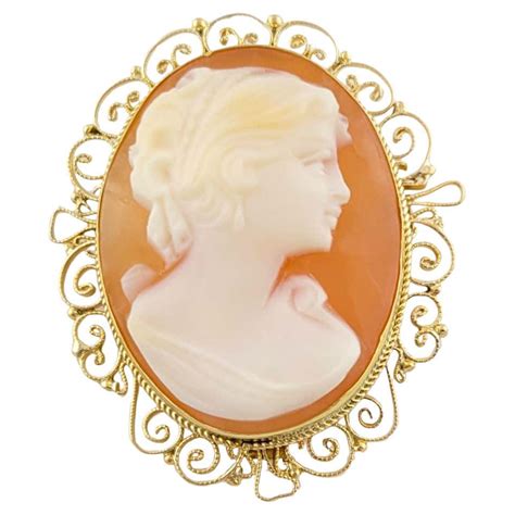 18 Karat Yellow Gold Cameo Pendant or Brooch For Sale at 1stDibs ...