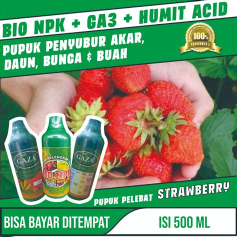 Jual Promo Pelebat Buah Strawberry Bio Npk Gaza Ml Pupuk Npk Cair