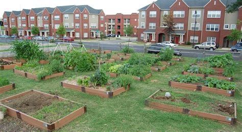 Helping Communities Gain Access To Green Spaces Smithsonian Gardens