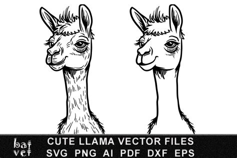 Cute Llama Vector Engraving Svg Graphic Graphic By Batvet · Creative